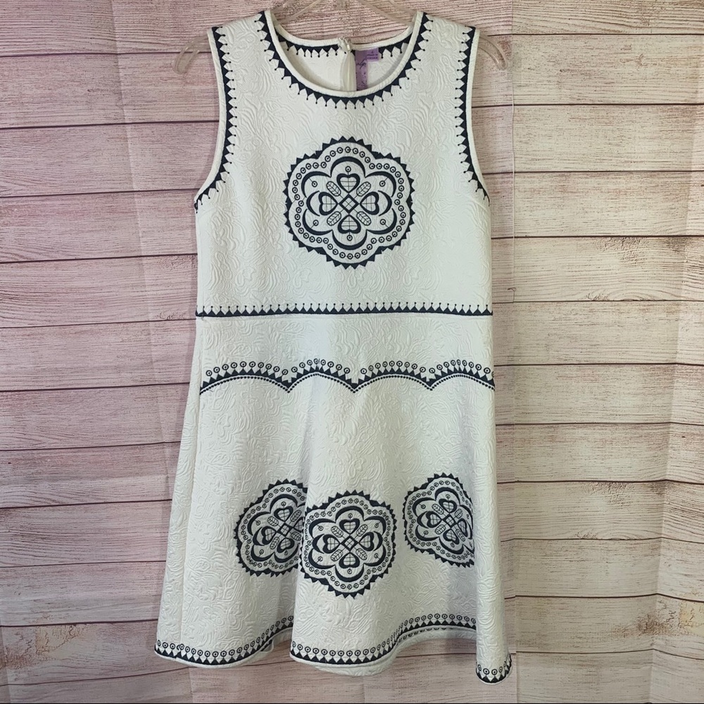 Alya Blue White Embroidered Skater Dress Large